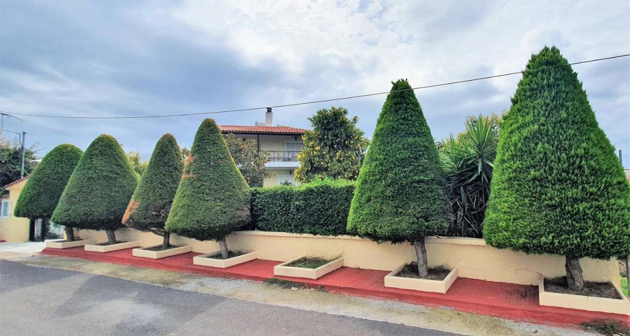 Vacation And Relaxation Home Oropos Nea Palatia Luaran gambar