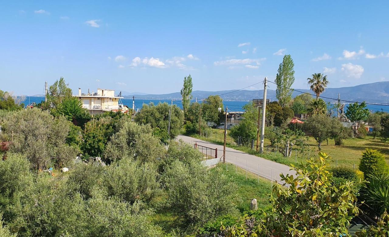 Vacation And Relaxation Home Oropos Nea Palatia Luaran gambar