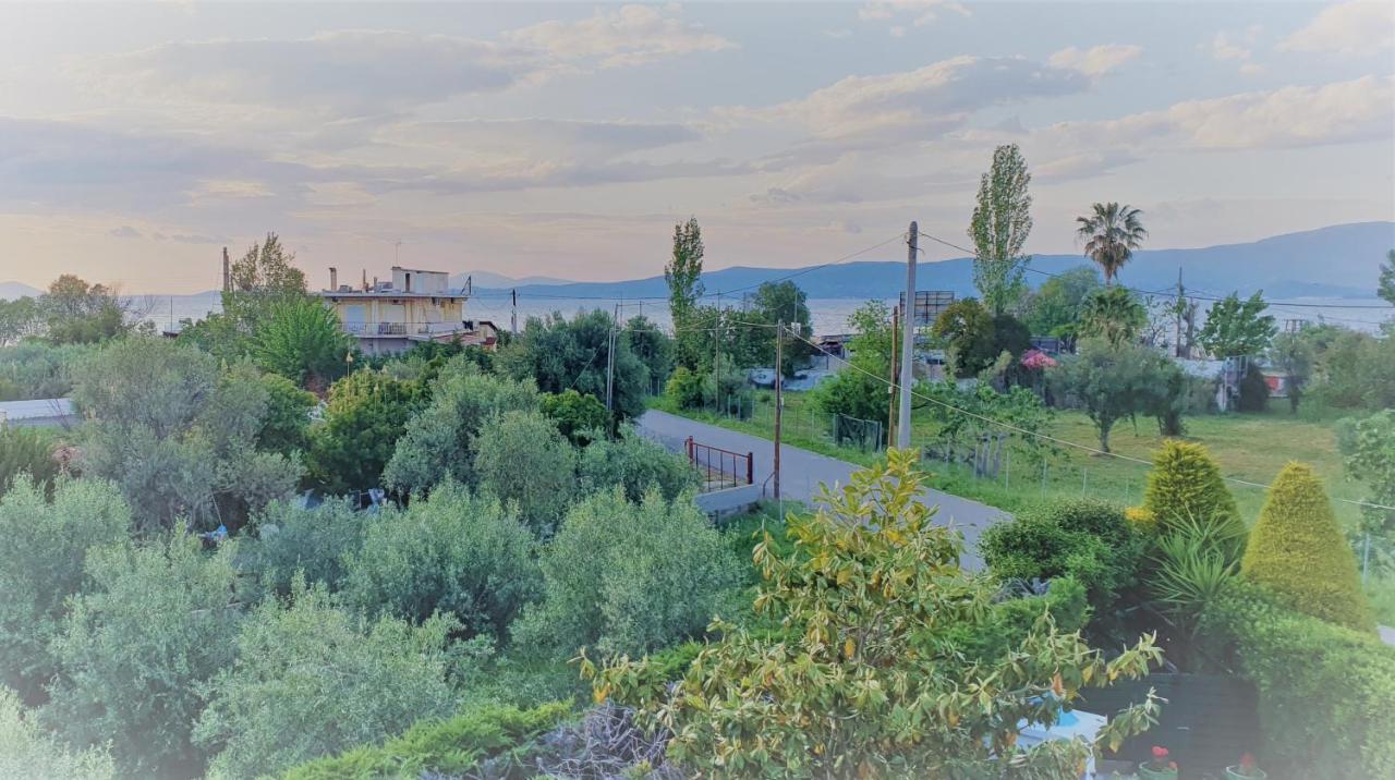 Vacation And Relaxation Home Oropos Nea Palatia Luaran gambar